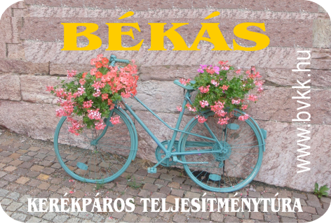 B&Aacute;K&Aacute;S ker&eacute;kp&aacute;ros Teljes&iacute;tm&eacute;nyt&uacute;ra 2017