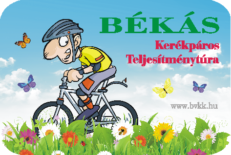 B&Eacute;K&Aacute;S Ker&eacute;kp&aacute;ros Teljes&iacute;tm&eacute;nyt&uacute;ra 2017