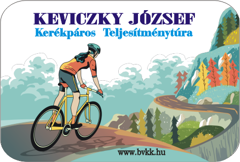 B&Aacute;K&Aacute;S ker&eacute;kp&aacute;ros Teljes&iacute;tm&eacute;nyt&uacute;ra 2017