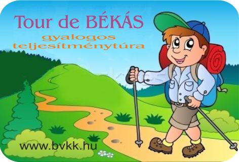 Tour de B&Aacute;K&Aacute;S 2017